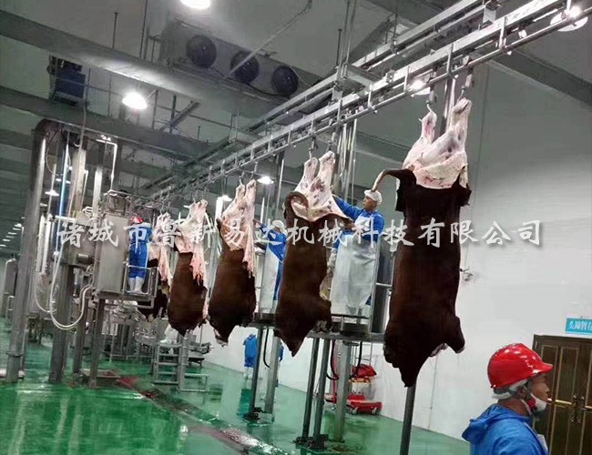 牛悬挂剥皮流水线