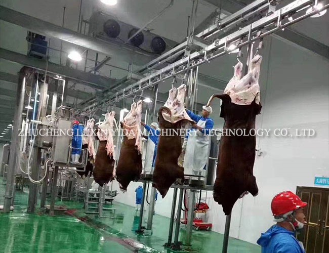 Cattle hanging peeling line