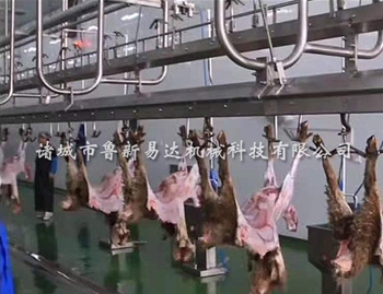 羊屠宰流水线