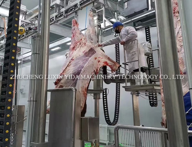 Cattle peeling line