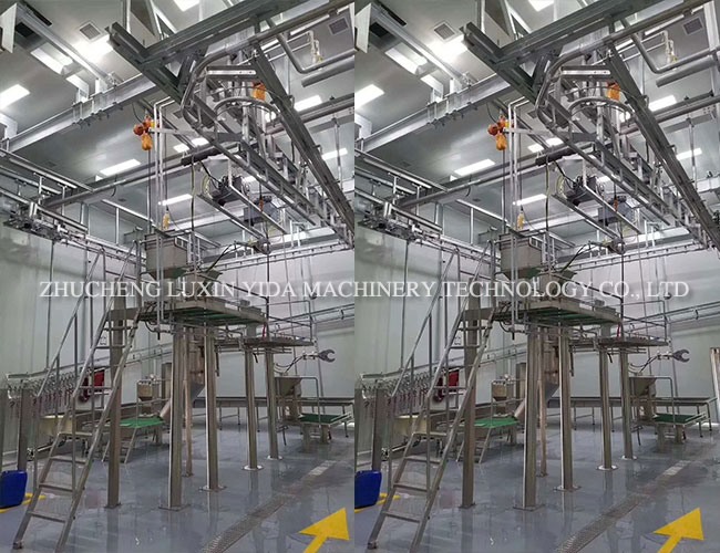 Automatic blood letting line for cattle