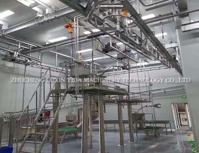 Cattle hanging peeling line