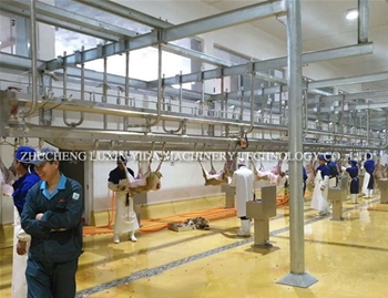 Sheep slaughtering line