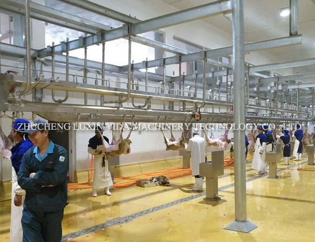 Sheep slaughtering line