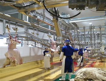 Sheep skinning line