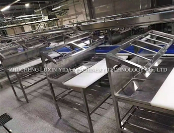 Pig cattle sheep split conveyor line