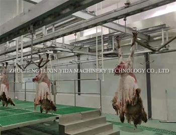 Full automatic European style sheep production line