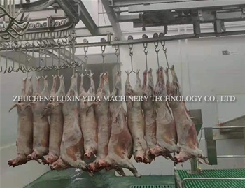 Pig depilation cleaning