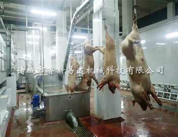 猪烫池脱毛